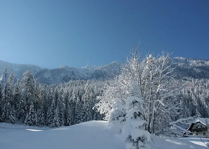 Vital 3* Bad Bleiberg